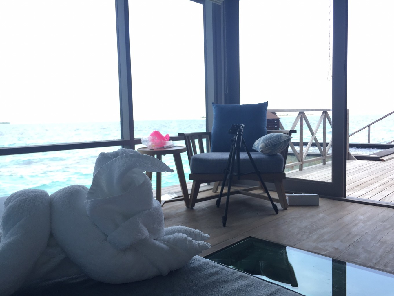 马尔代夫来北京,马尔代夫来三里屯