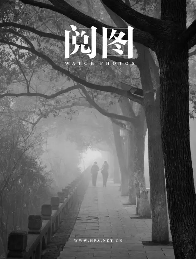 阅图是什么,阅图是什么意思