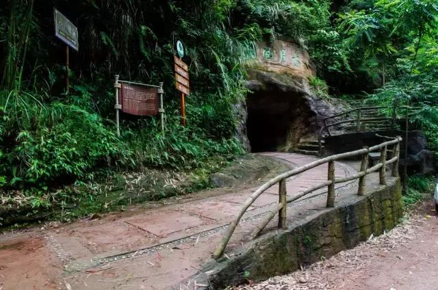 四川长宁竹海与赤水竹海,竹海风景区沐川