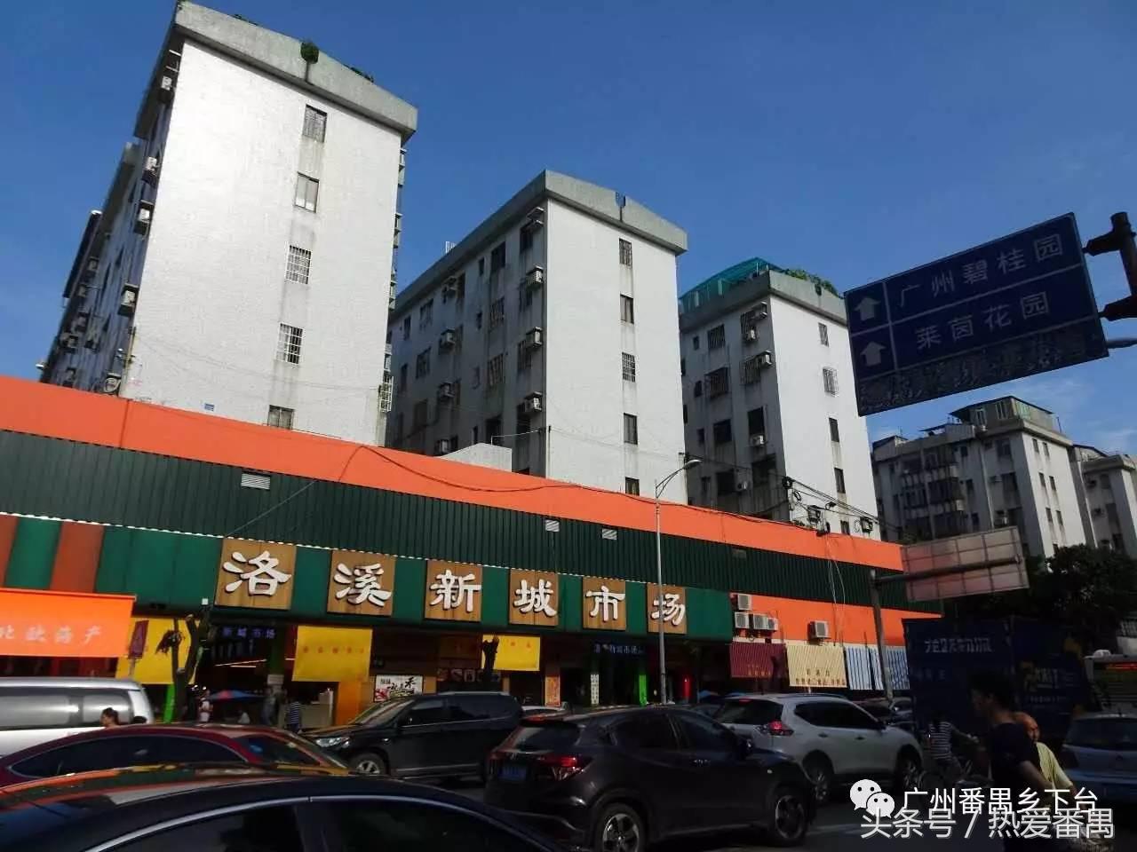 洛溪大桥为啥有个名字,洛溪大桥为什么叫洛溪大桥