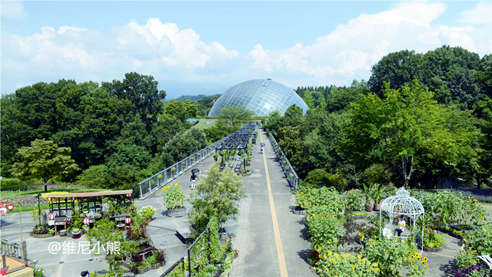 日本旅游指南探寻神秘的深夜美食,日本山阴美食攻略