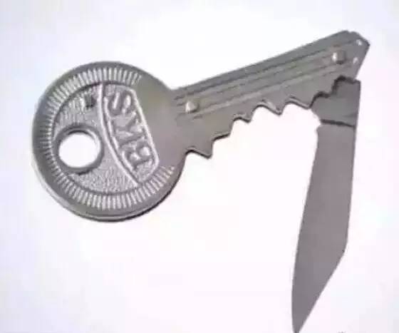 十大违禁入境品,各国海关奇葩禁令