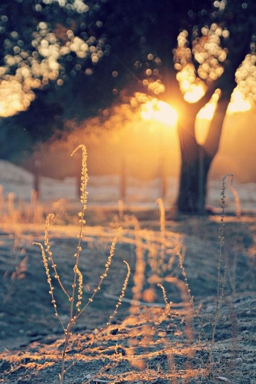 我对女生有偏见怎么办,我对女生有点厌恶感怎么办