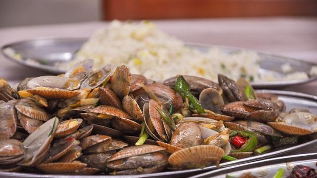 面朝大海春暖花开旅游,面朝大海春暖花开4