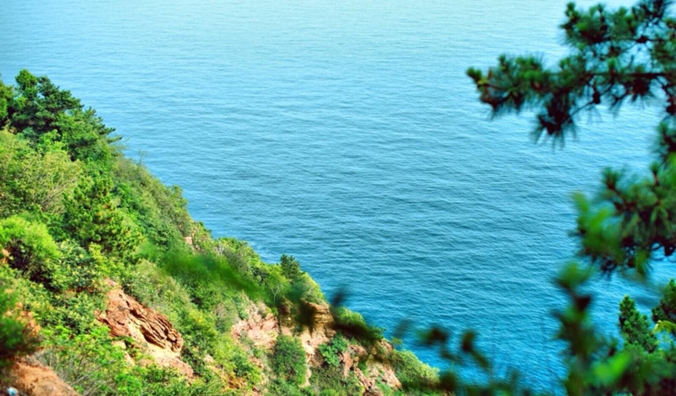 大连景点推荐冬天,大连东港旅游景点