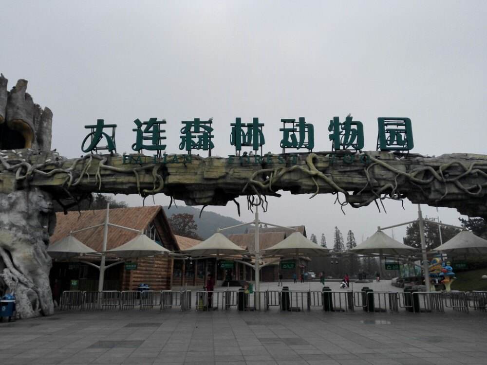 大连景点推荐冬天,大连东港旅游景点