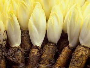 痛风患者六不宜痛风病友要牢记,医生说痛风最好忌口