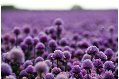 橙色时尚装,橙色系潮流穿搭