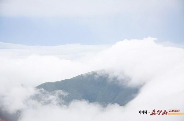 不经历风雨怎么见彩虹作文素材,不经历风雨怎么见彩虹英文