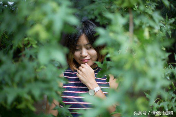 张裕瑞那城堡酒庄拍照技巧,张裕爱斐堡红酒庄园