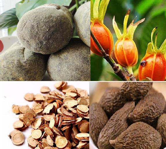 口臭能“熏晕人”?快看看你的扁桃体长了它了没?