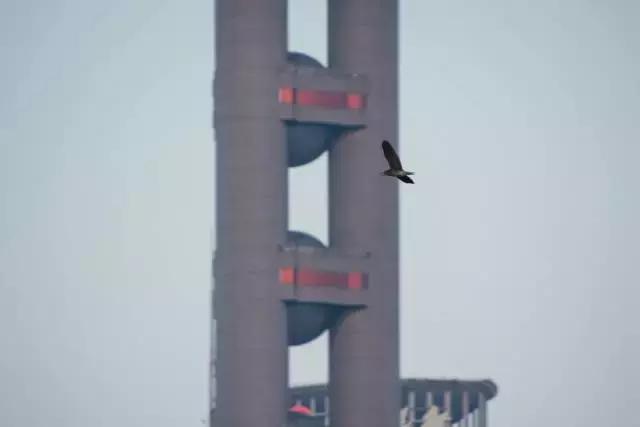 腾龙老款28-75f2.8评测,腾龙45mmf1.8vc评测