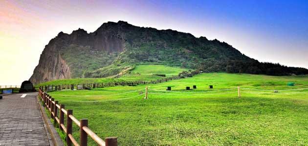 中国国际驾照去哪里考,国际驾照怎么考多少钱