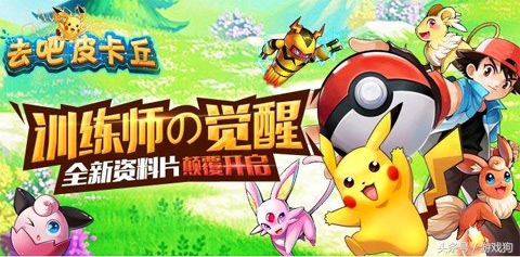 萌宠来袭宠物,超萌小宠物