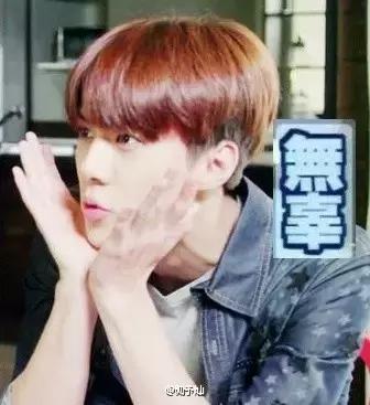 去看exo演唱会的事项,怎样在演唱会上引起爱豆的注意exo