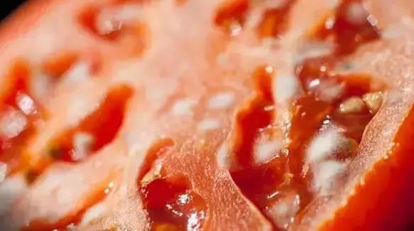 食药监查出过期食品,食品检测霉菌超标