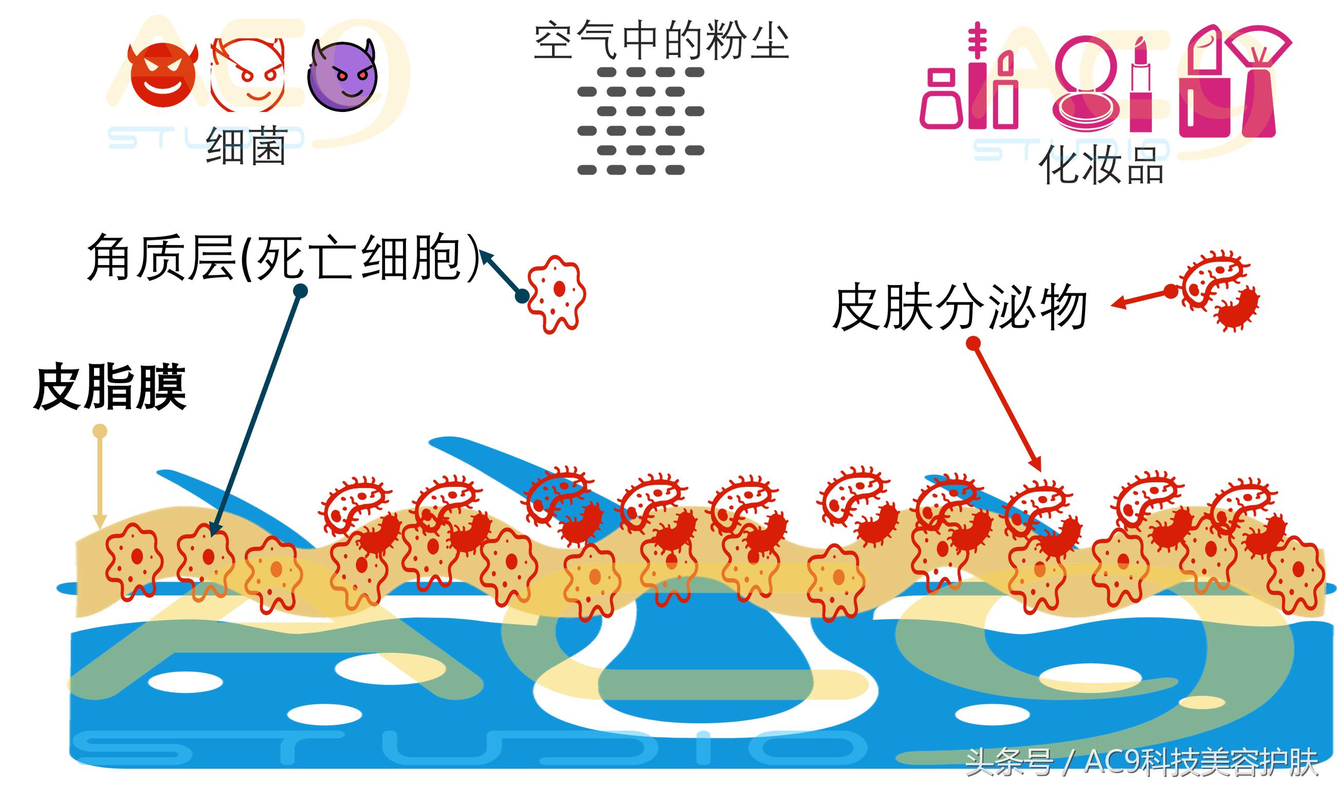 家里用什么洗脸可以清洁皮肤,用什么洗脸清洁皮肤