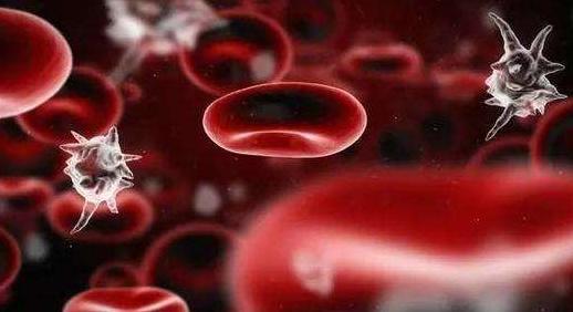 血虚体质（血虚常伴随气虚）的调理