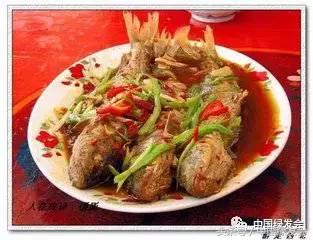 6种鱼不能随便吃容易判刑,别吃这种鱼存在健康隐患