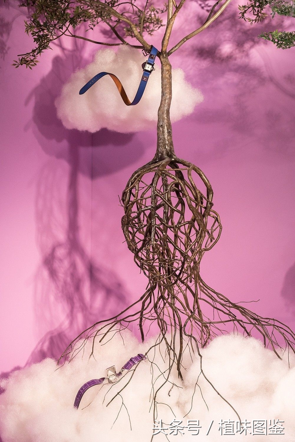 不出国门就能买到全球好物,不出家门看遍世界