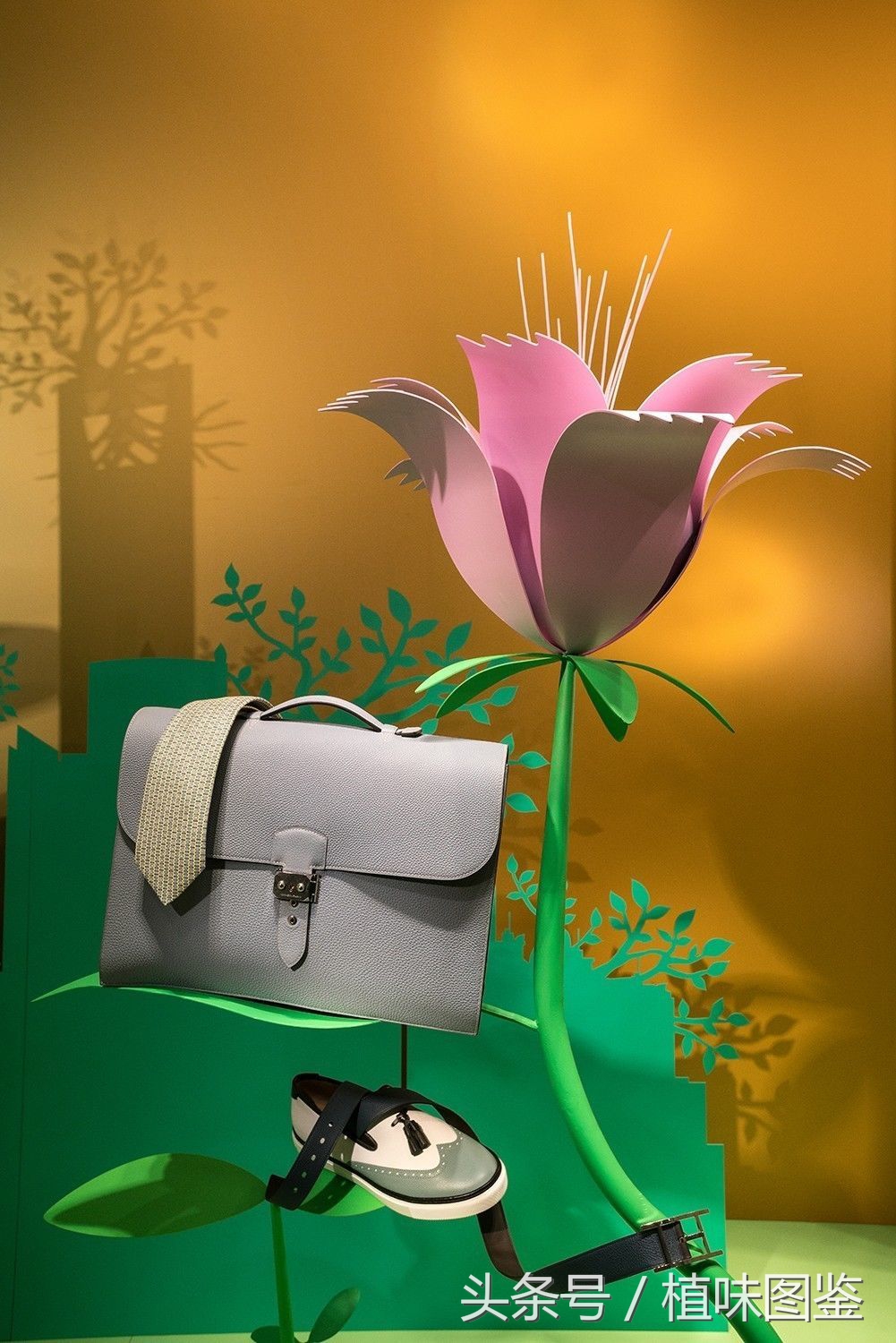 不出国门就能买到全球好物,不出家门看遍世界