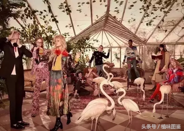 不出国门就能买到全球好物,不出家门看遍世界