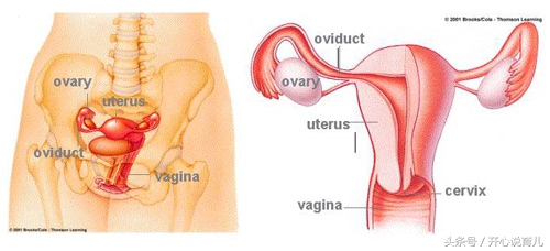 你以为上了环就能一劳永逸?更多的麻烦在等着你呢!