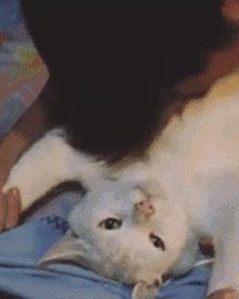 闺蜜中最漂亮的，你都抵挡得住