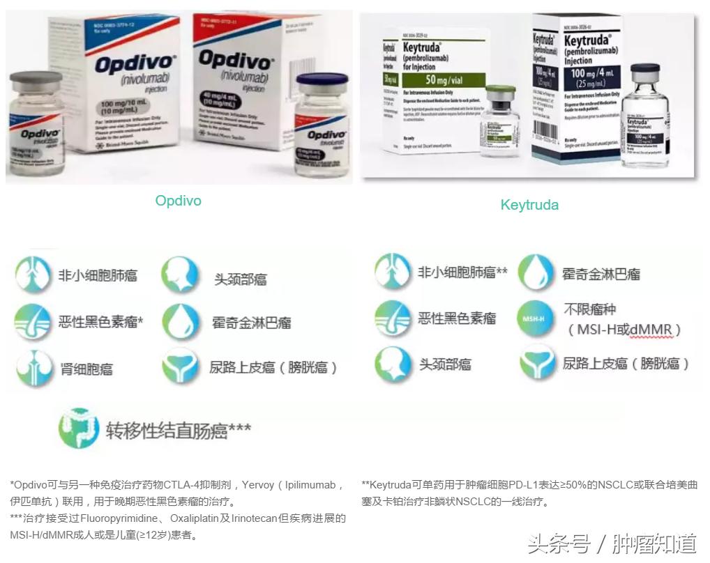 pd-1是什么制剂 (pd-1与pd-l的区别)