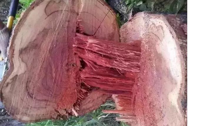 老挝大红酸枝是红木里的什么档次,老挝大红酸枝红木特点