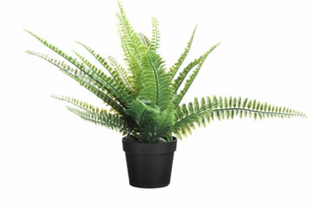 宜家十大免费新品,宜家新品贝雷帕姆系列