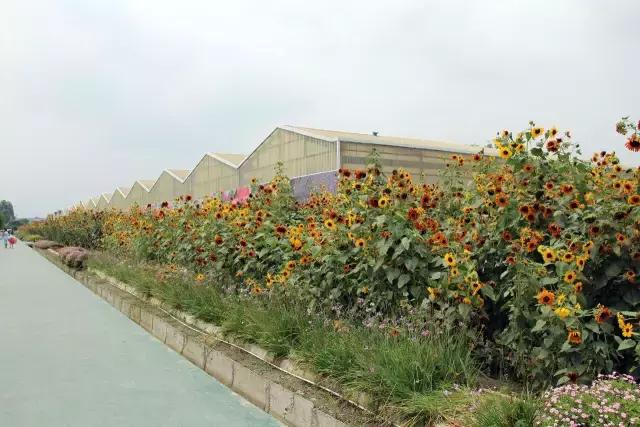 成都农庄十佳休闲庄园,成都十大生态农庄排行榜前十名