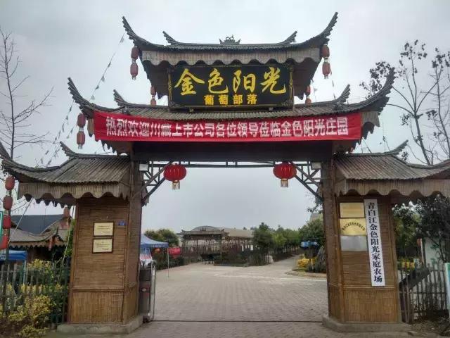 成都农庄十佳休闲庄园,成都十大生态农庄排行榜前十名