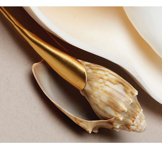 米兰达可儿,米拉达miranda