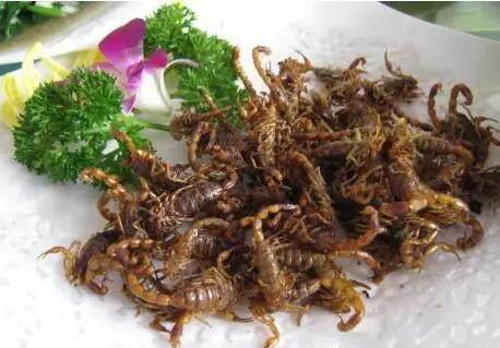 广东人天上飞的地上跑的,广东人吃天上飞的地上跑的能吃吗