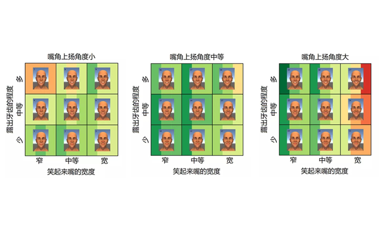有的人长得好看笑起来却很丑,人长得很帅但是为什么笑起来很丑