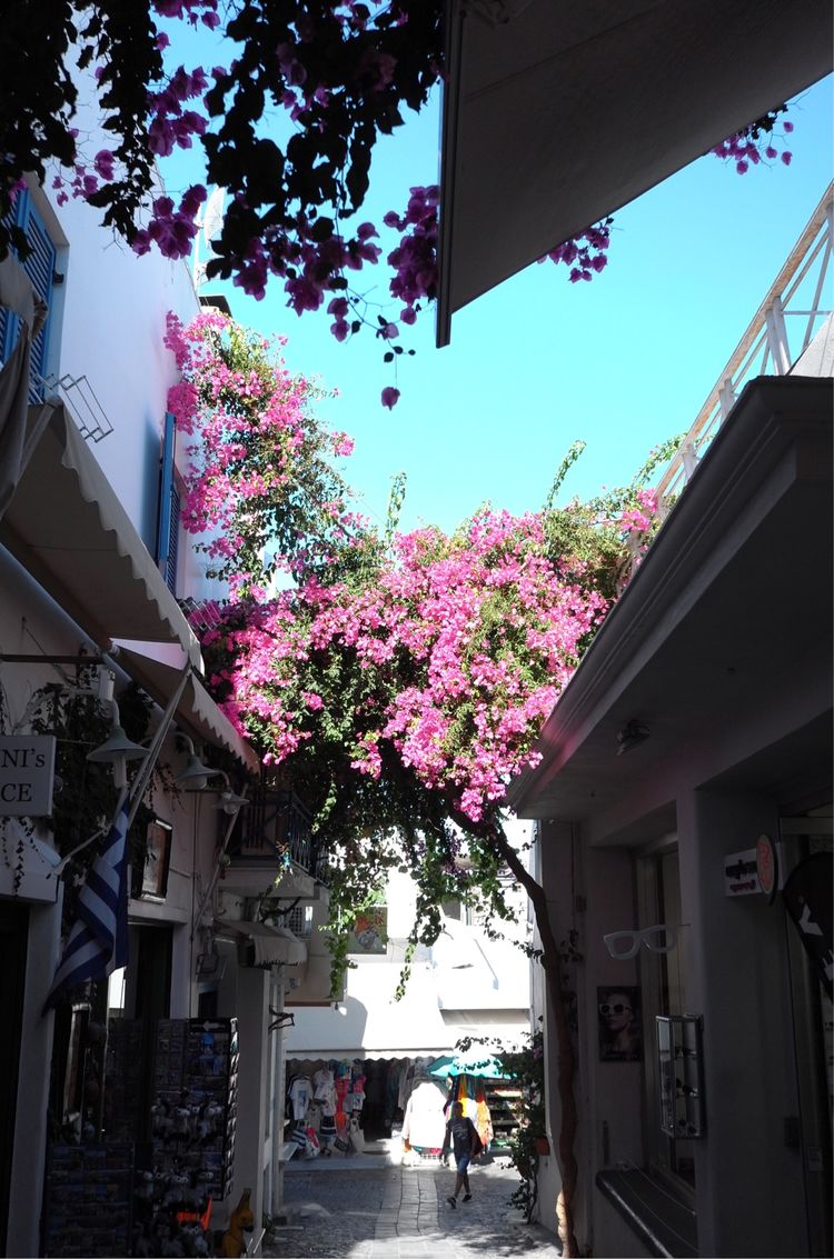 重温我的希腊旅游点滴,希腊旅游人生总要去一次