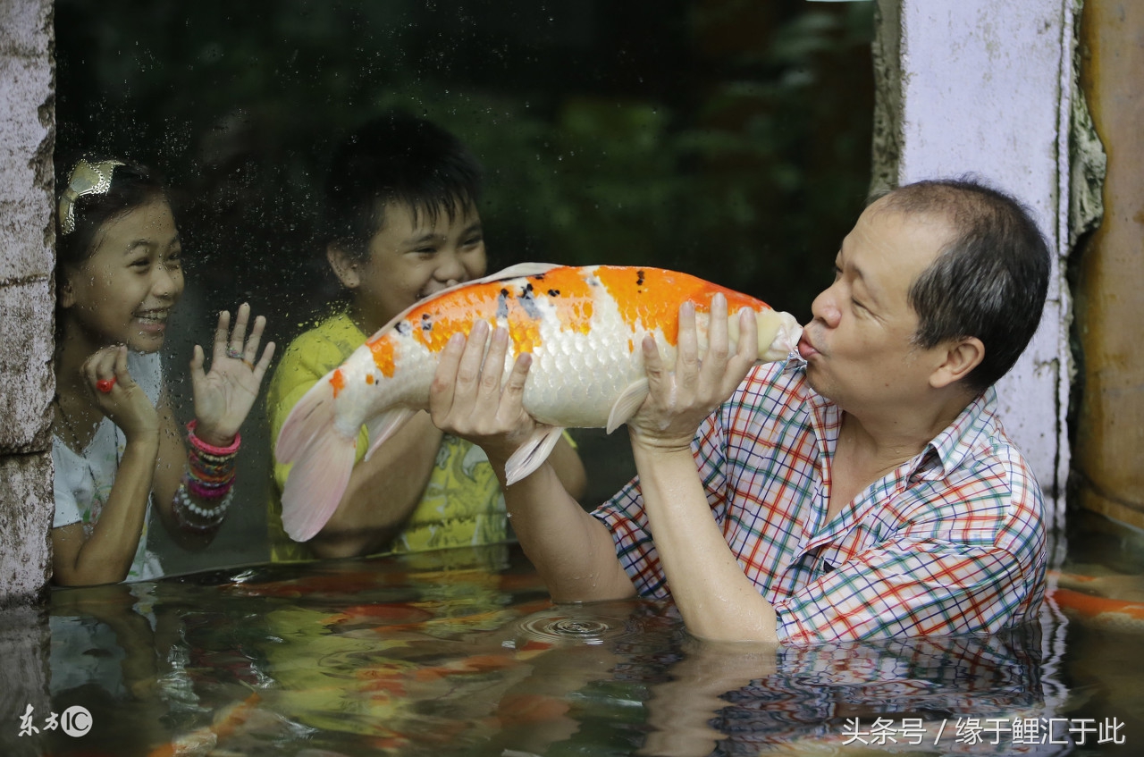 鱼池水浑怎么办,鱼池有鱼腥味