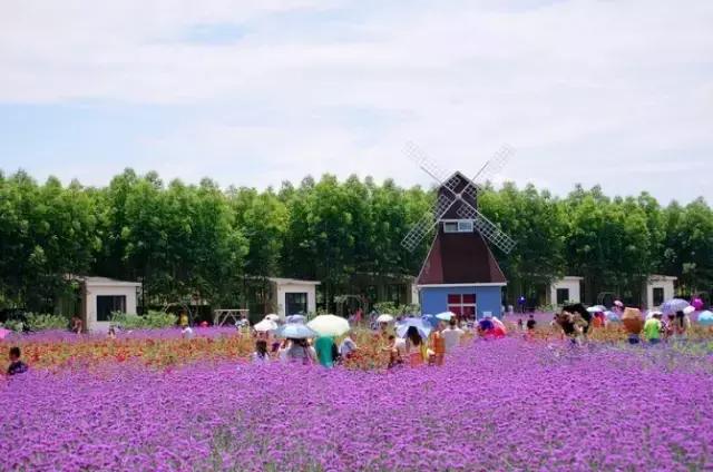 成都农庄十佳休闲庄园,成都十大生态农庄排行榜前十名