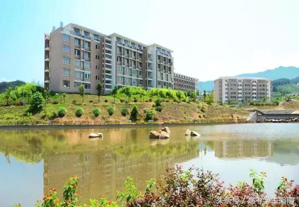 2017高考福建理科本科录取率,福建2017年高考水平在全国排名