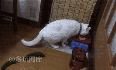 疤痕不算什么病痛才可怕,疤痕真的是不可逆的吗