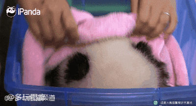 疤痕不算什么病痛才可怕,疤痕真的是不可逆的吗