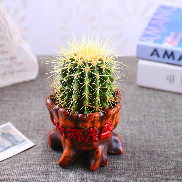 装修好的房子种什么植物能去甲醛,24小时去甲醛有害气体的植物