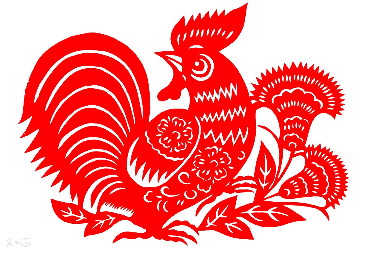 93年属鸡同69年属鸡做生意如何,属鸡人的后半生尤其是69年