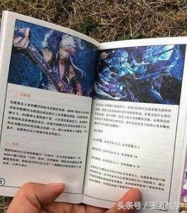 王者荣耀武器玩具4.8块,王者荣耀手办性价比最高的英雄