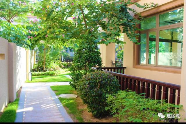 别墅庭院景观树图片大全,别墅庭院围栏用什么树