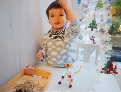 蒙特梭利的四大阶段总结,蒙特梭利四个特征