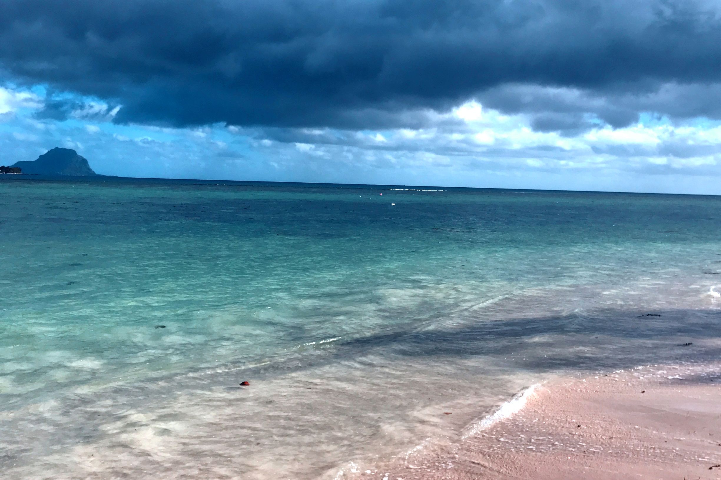 阳光沙滩空气温度24度,毛里求斯海豚游玩攻略