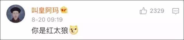 男朋友是内蒙古人，第一次送的礼物是一只羊网友笑喷：成都人只能送火锅底料了！