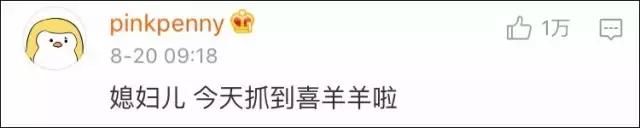 男朋友是内蒙古人，第一次送的礼物是一只羊网友笑喷：成都人只能送火锅底料了！
